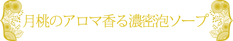 月桃のアロマ香る濃密泡ソープ