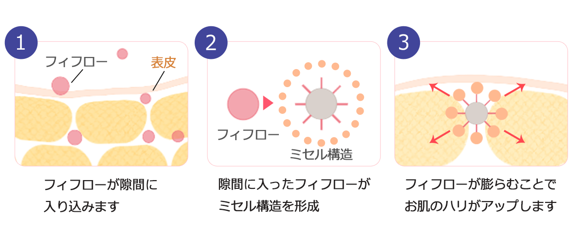 フィフローが膨らむことでお肌のハリがアップします