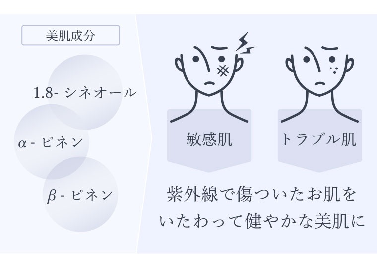 美肌成分が紫外線で傷ついた肌をいたわって、敏感肌・トラブル肌にもおすすめ