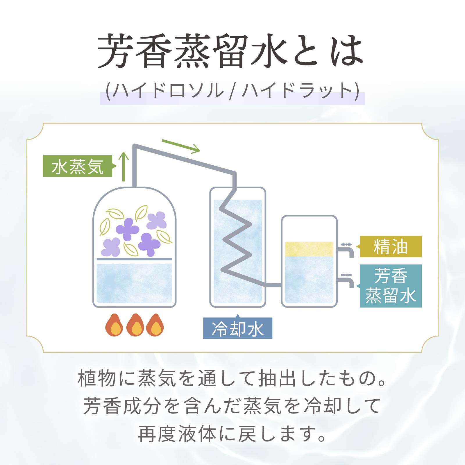 防腐剤、アルコール、着色料、香料の4つの無添加。