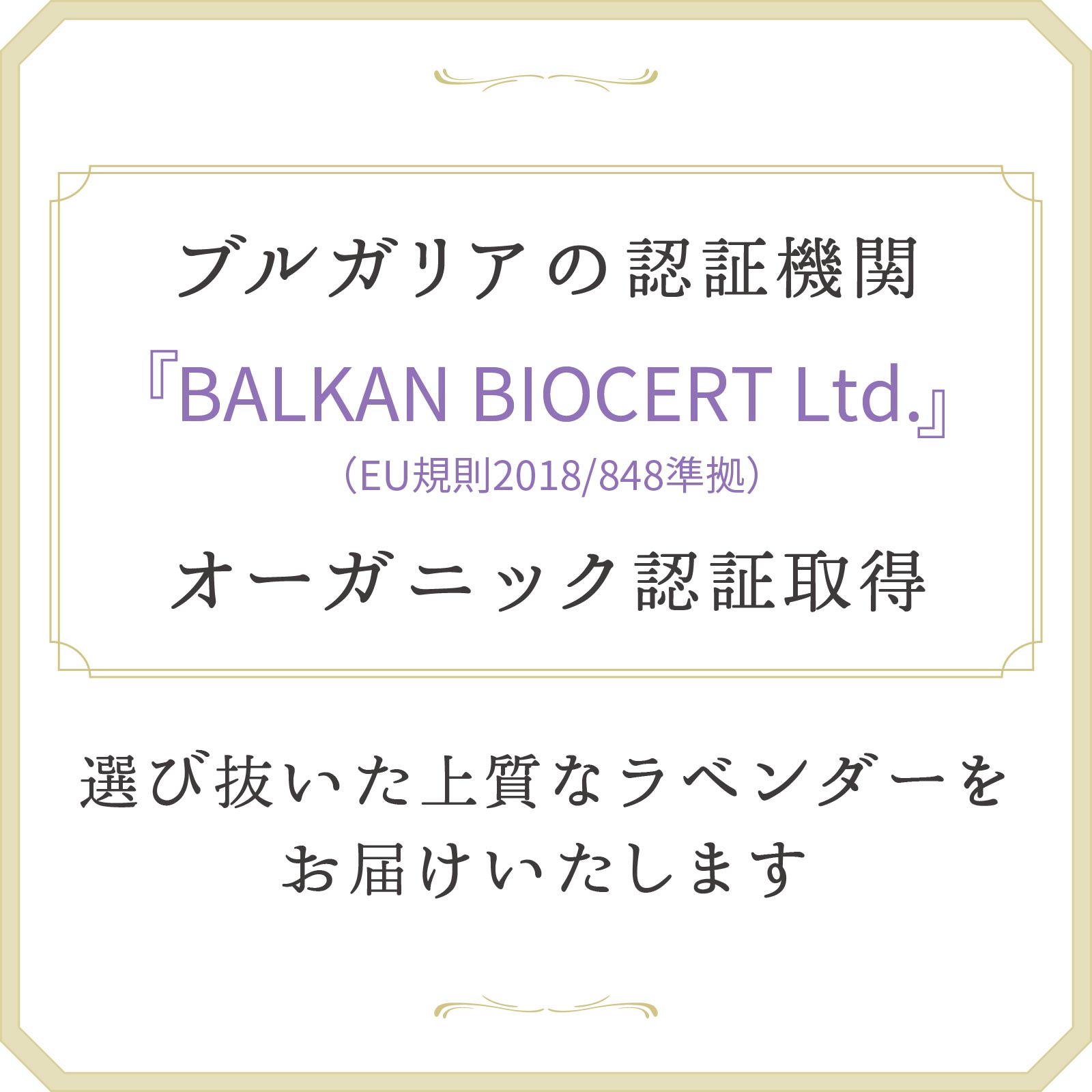 世界最大のラベンダーの産地であるブルガリアで、伝統ある生産者から仕入れたラベンダーです。ブルガリアの認証機関『BALKAN BIOCERT Ltd.』（EU規則2018/848準拠）のオーガニック認証を取得しています。