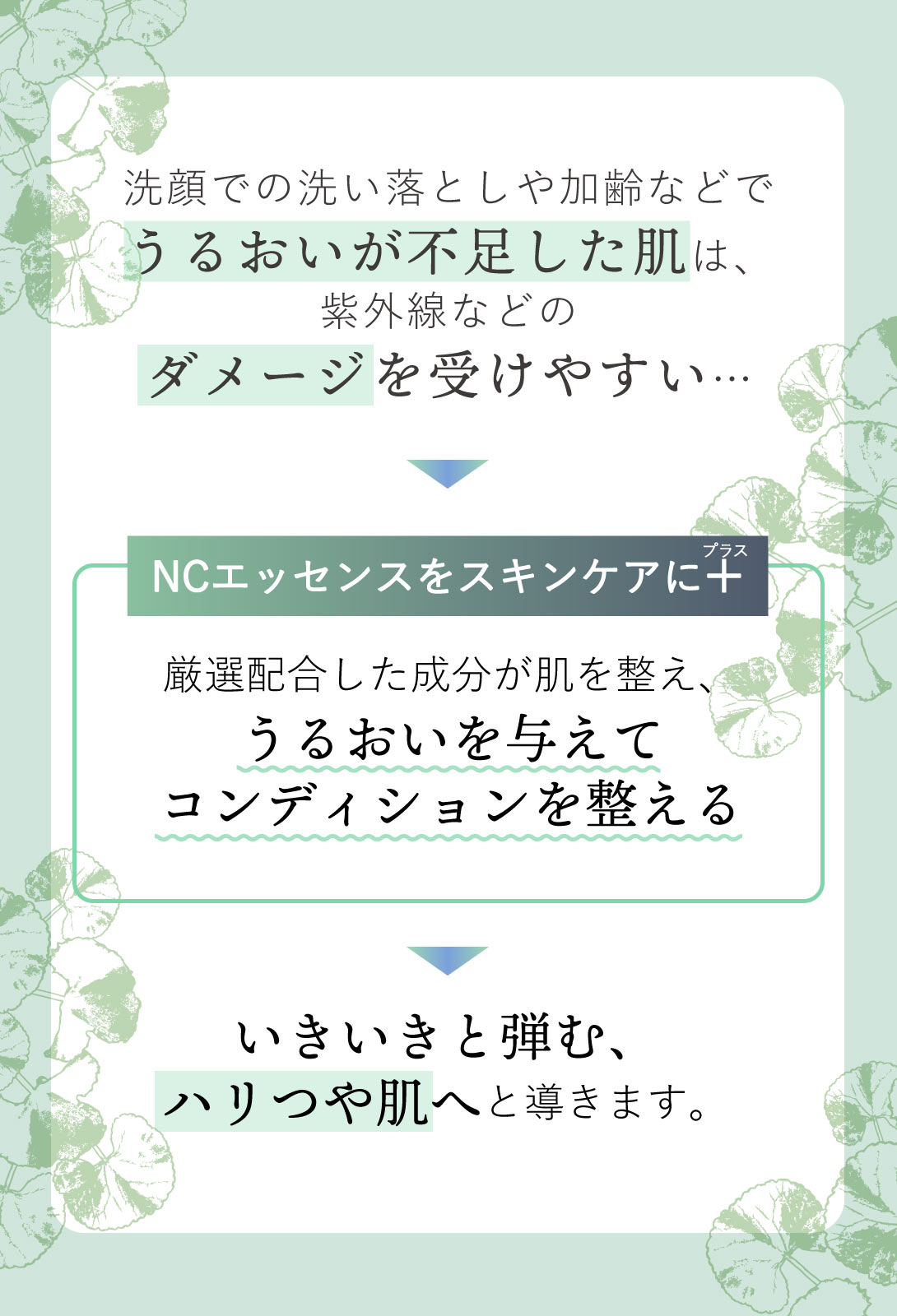 NCエッセンスをスキンケアにプラスしてスキンケアを底上げ