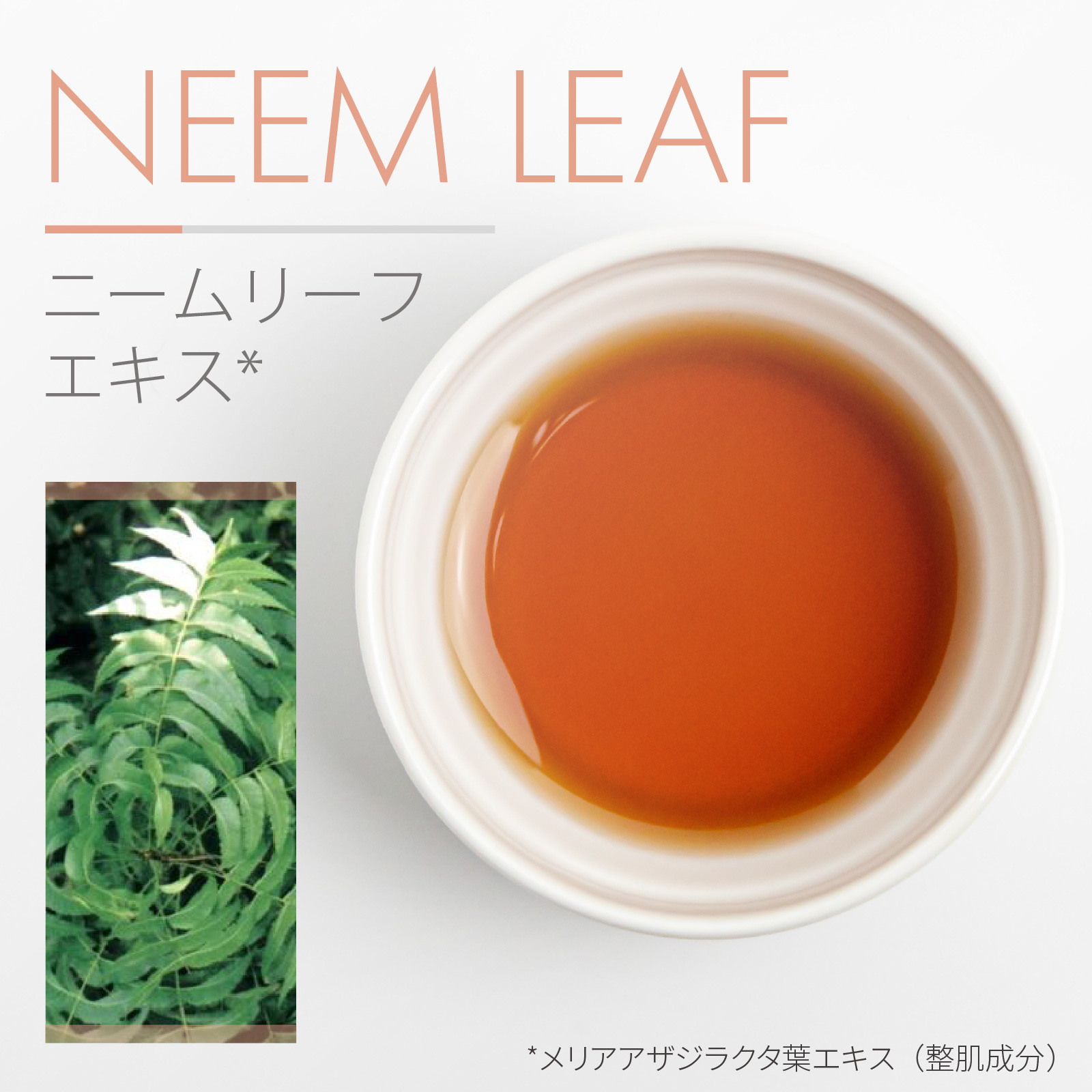Emil Filla、NATURE、海外版超希少レゾネ、新品額付 ニームリーフエキス 原液 100％ 20mL 遮光プラボトル 自然化粧品