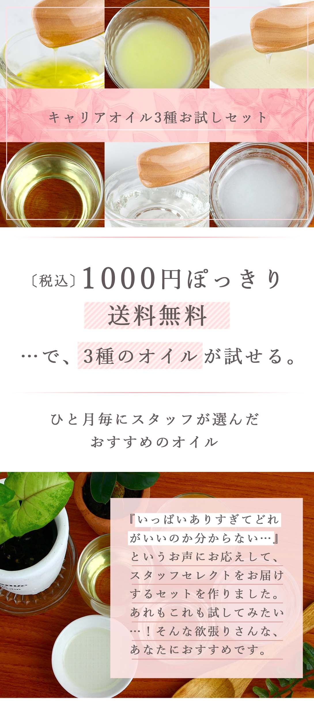 キャリアオイル3種お試しセット