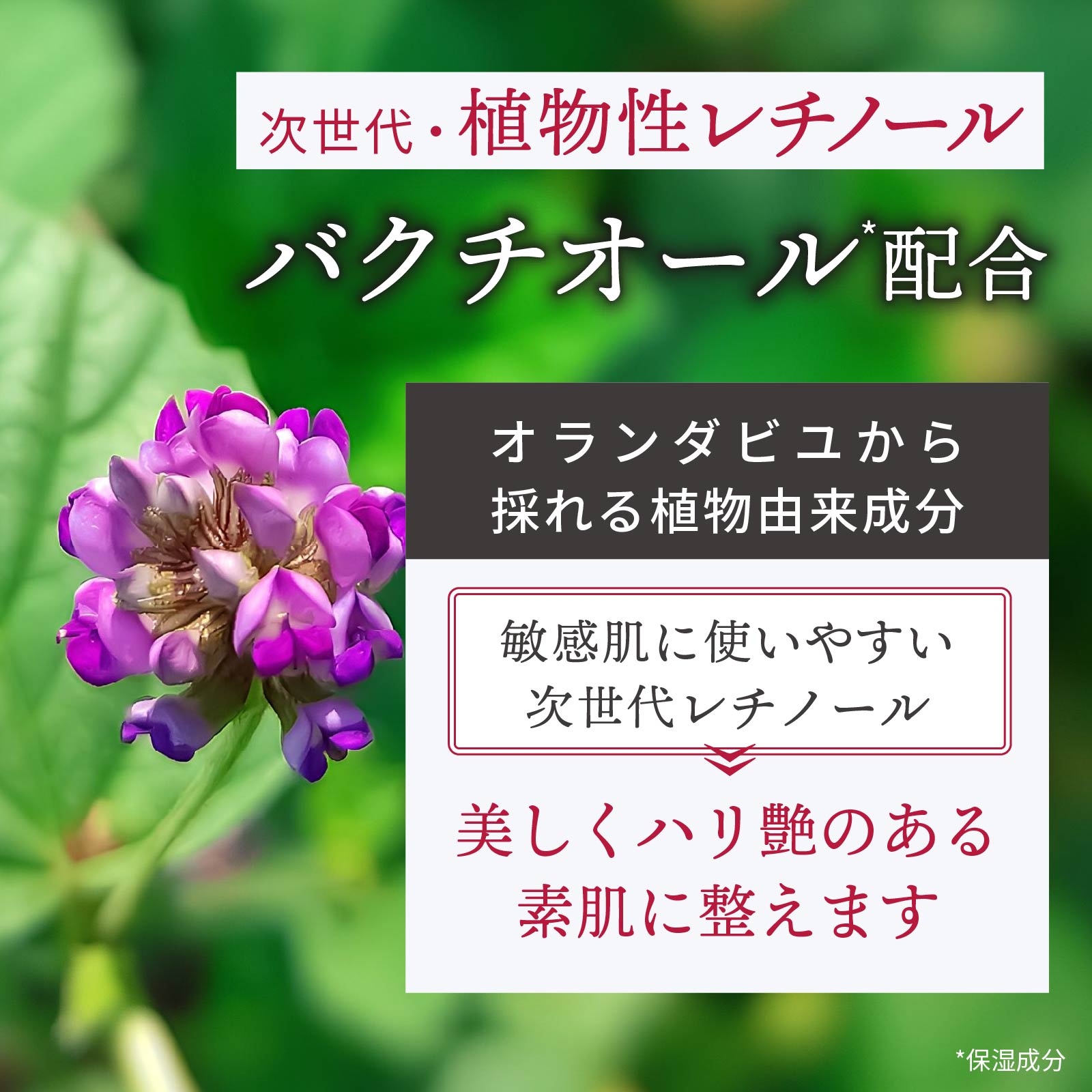 次世代の植物性レチノール「バクチオール」配合。オランダビユという植物から得られる植物由来の成分。敏感肌にも使いやすいレチノールとして、純粋レチノールとともに配合。美しくハリのあるツヤ肌に整えます。