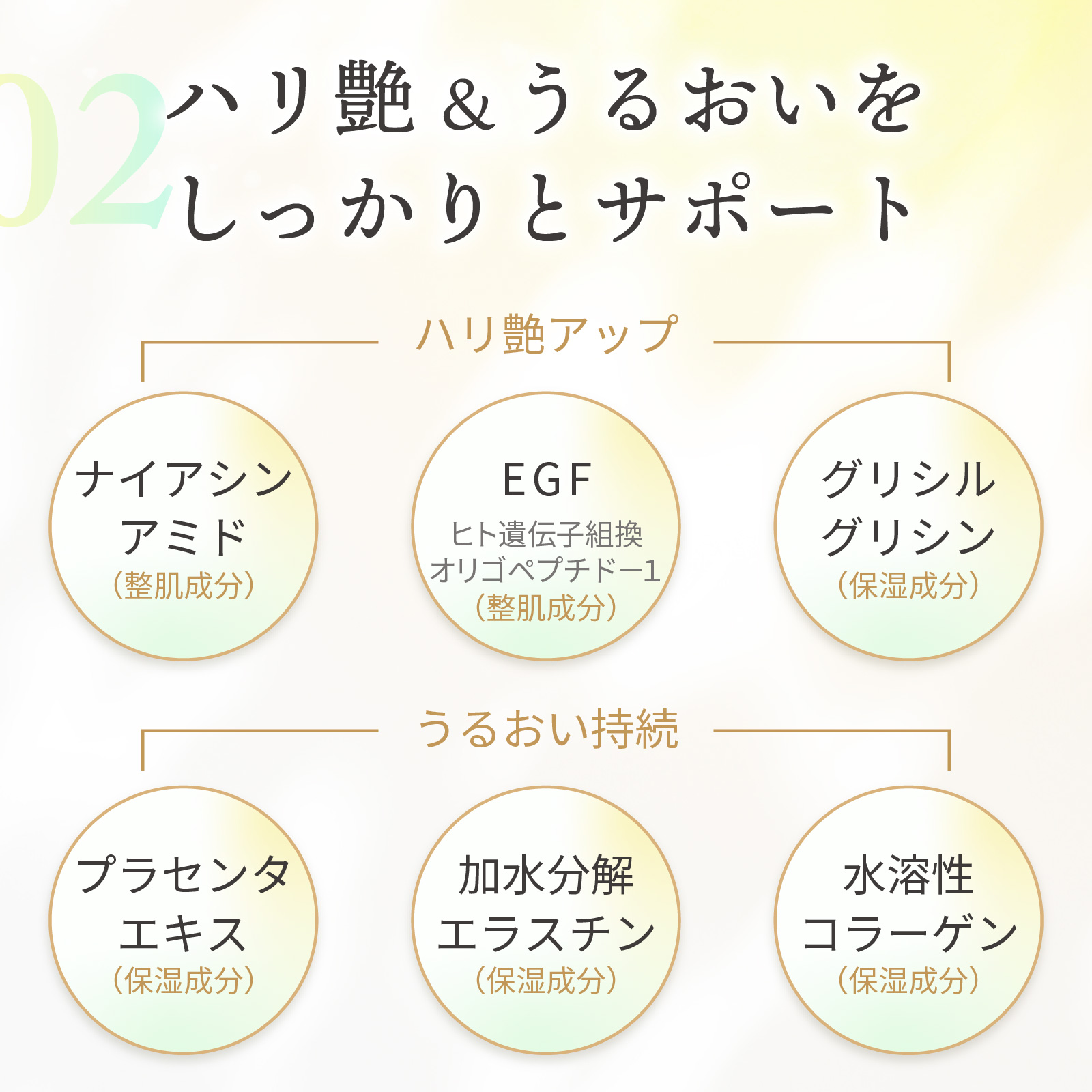 ６つの成分がハリ艶＆潤いをサポート