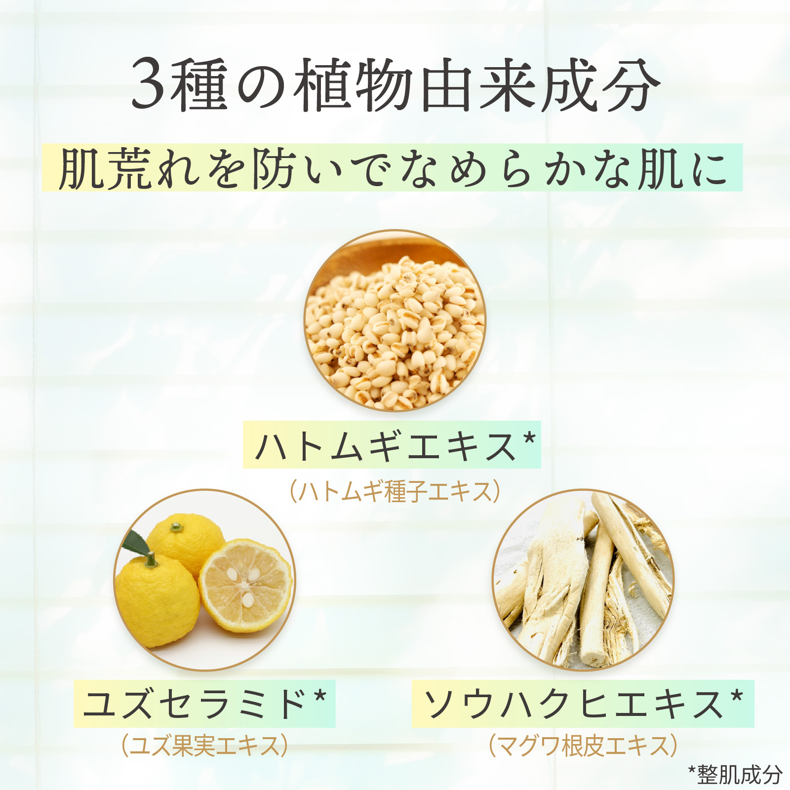 ハトムギエキス、ユズセラミド、ソウハクヒエキスを配合して肌荒れを防止