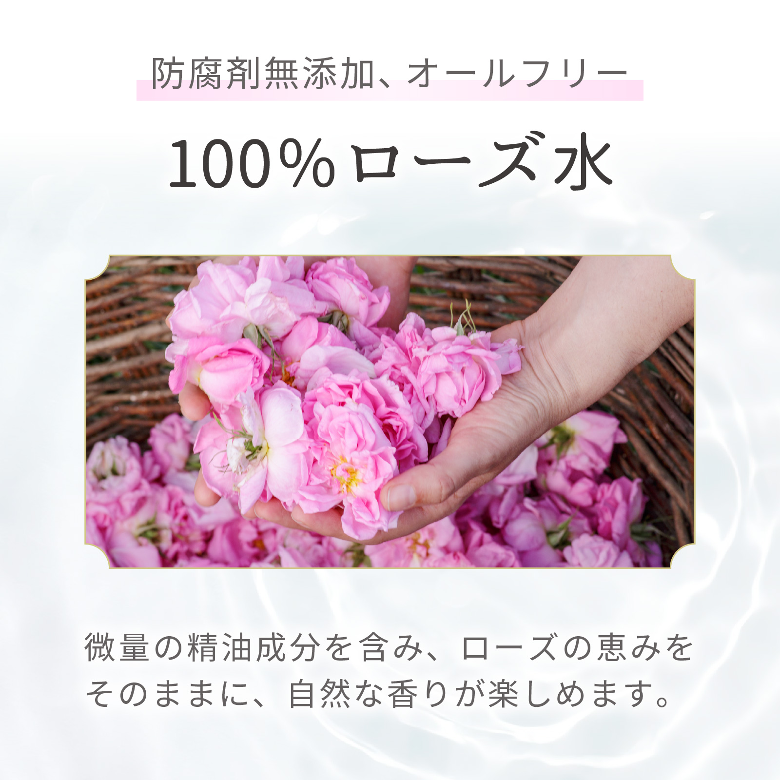 防腐剤無添加、オールフリーの100%ローズ水